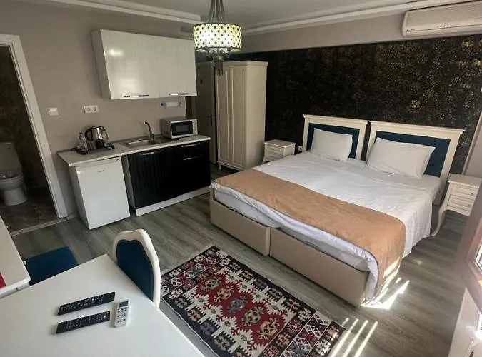 公寓式酒店 1453apartments 伊斯坦布尔