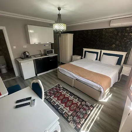 公寓式酒店 1453apartments 伊斯坦布尔